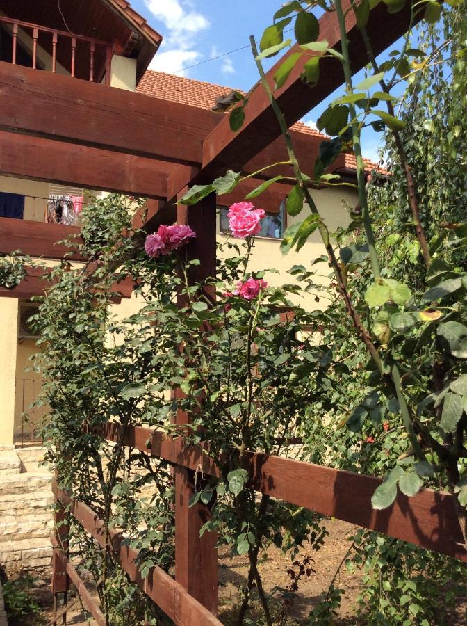 Villa Rosa Năvodari Exterior foto